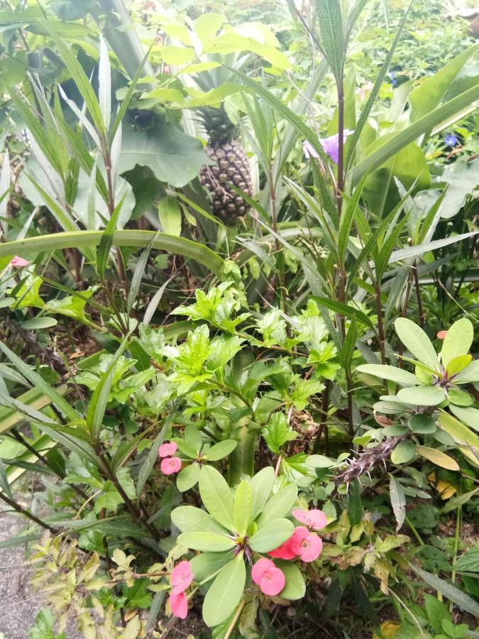 4 Seasons Mini House Hotel Nakhon Si Thammarat Buitenkant foto