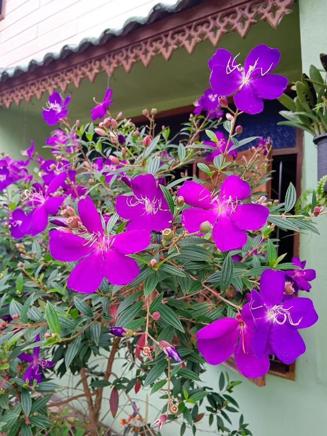 4 Seasons Mini House Hotel Nakhon Si Thammarat Buitenkant foto
