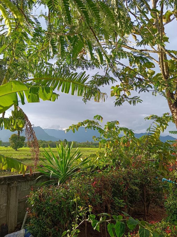 4 Seasons Mini House Hotel Nakhon Si Thammarat Buitenkant foto