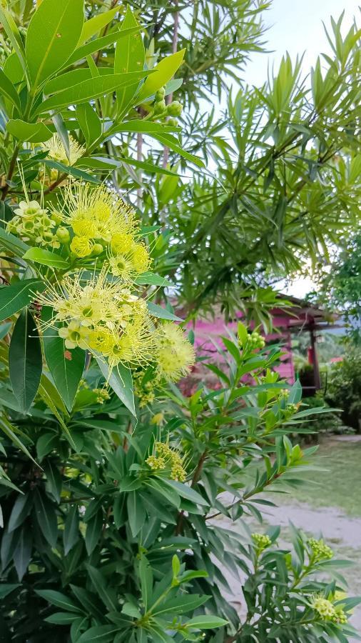 4 Seasons Mini House Hotel Nakhon Si Thammarat Buitenkant foto