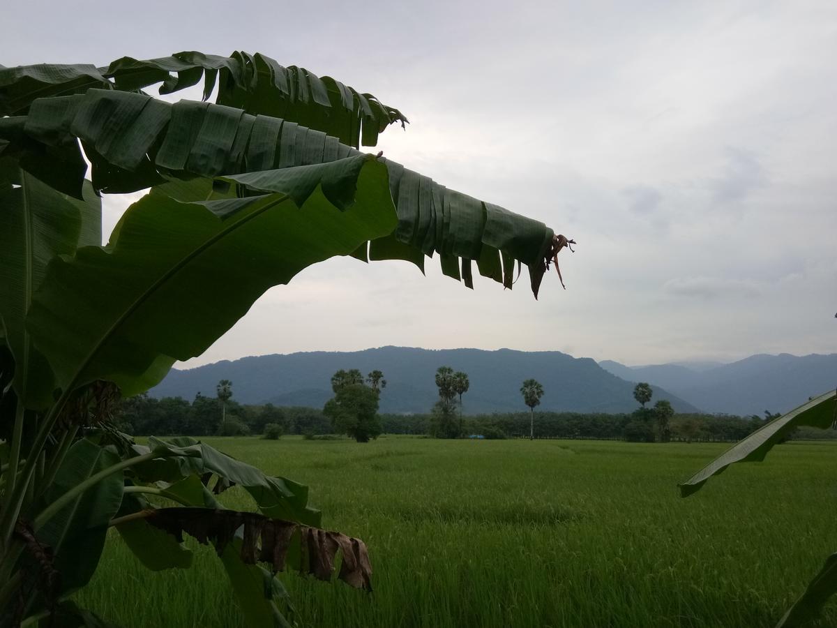 4 Seasons Mini House Hotel Nakhon Si Thammarat Buitenkant foto
